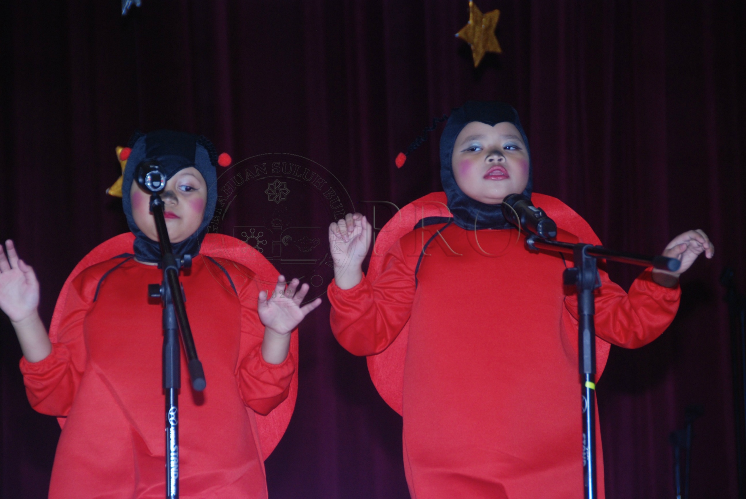 PRO 12 126 pkkk DSC 7514